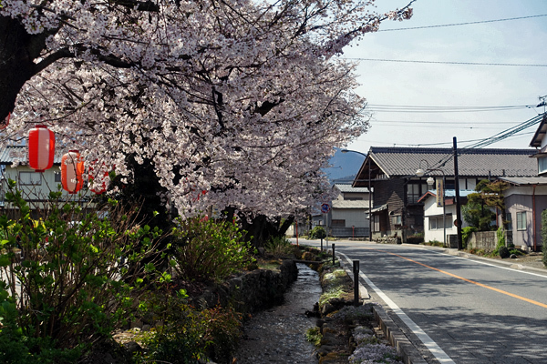 blog_pic136501.jpg