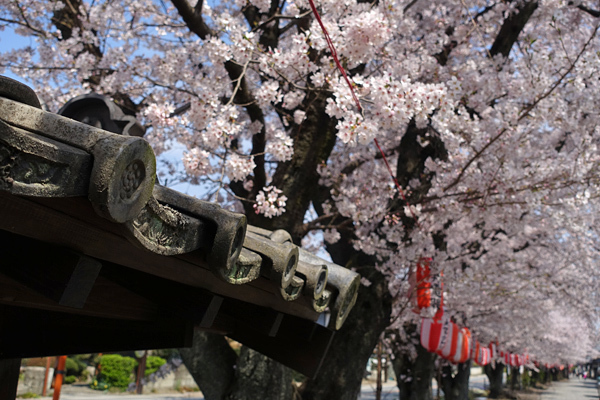 blog_pic136502.jpg