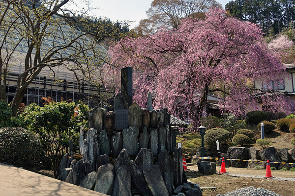 blog_pic136505.jpg
