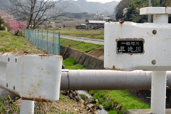 blog_pic136512.jpg