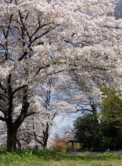blog_pic136515.jpg