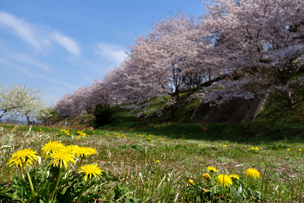 blog_pic136516.jpg