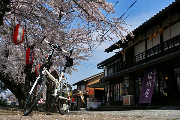 blog_pic136517.jpg