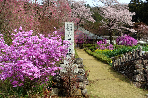 blog_pic136519.jpg