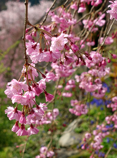 blog_pic136521.jpg