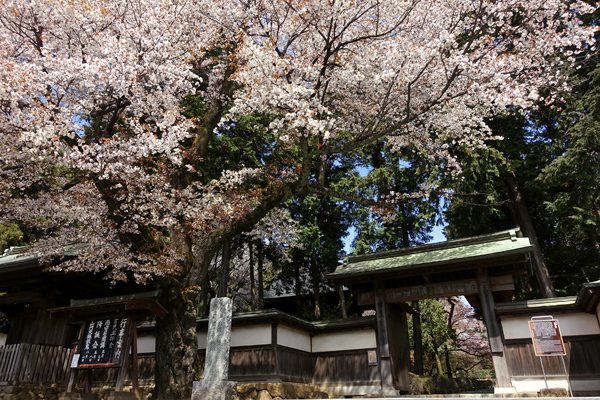 blog_pic136522.jpg
