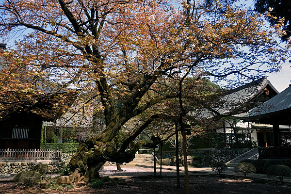 blog_pic136523.jpg