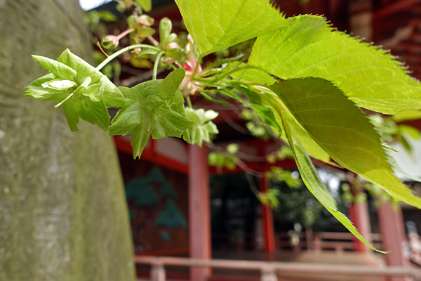 blog_pic136531.jpg