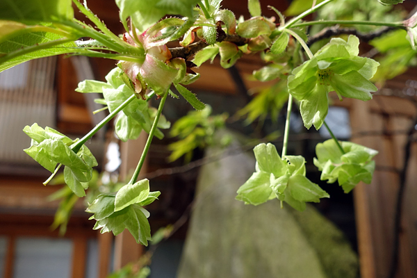 blog_pic136532.jpg