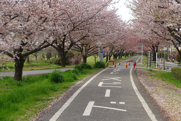 blog_pic136533.jpg
