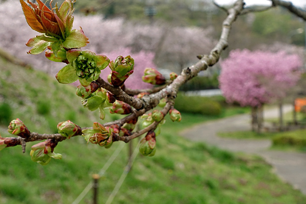 blog_pic136534.jpg