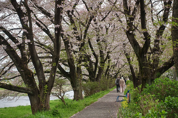 blog_pic136535.jpg