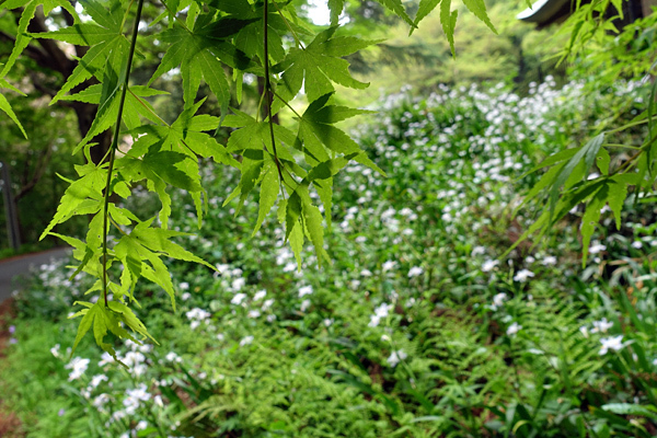 blog_pic136547.jpg