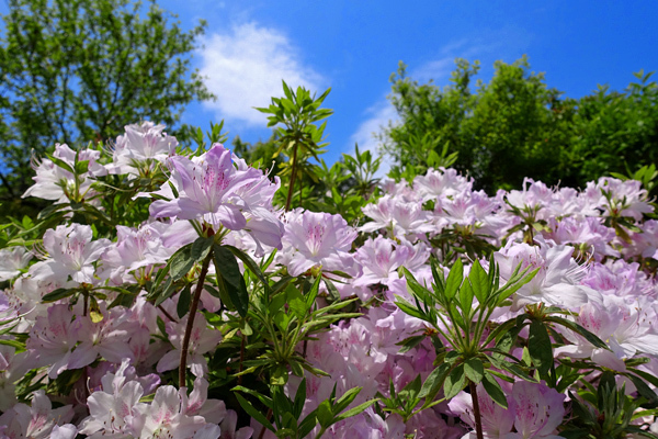 blog_pic136554.jpg