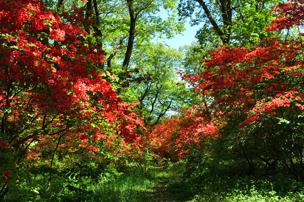 blog_pic136563.jpg
