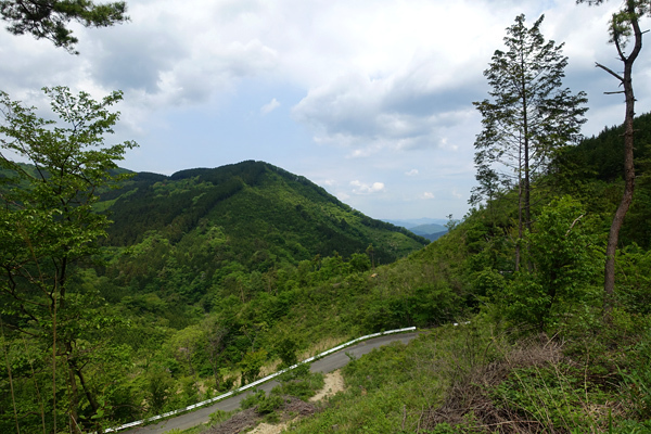 blog_pic136581.jpg