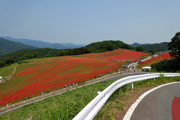 blog_pic136597.jpg