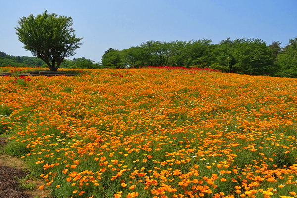 blog_pic136600.jpg