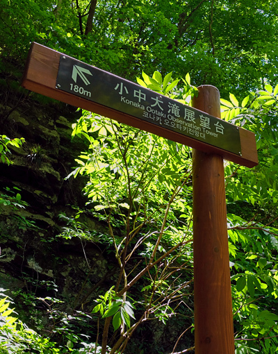 blog_pic136606.jpg