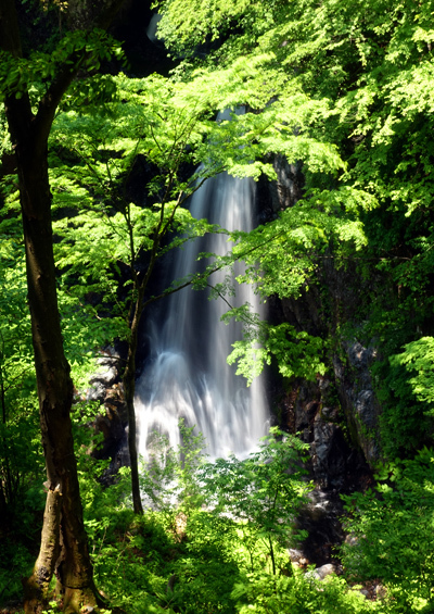 blog_pic136608.jpg
