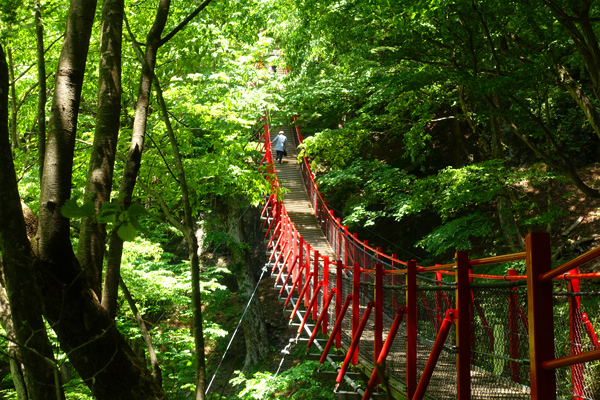 blog_pic136609.jpg