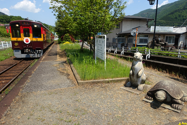 blog_pic136610.jpg