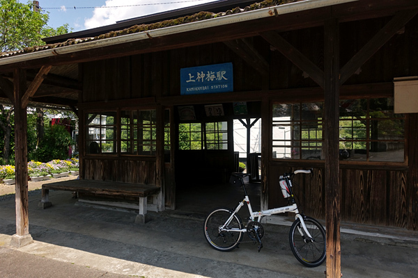 blog_pic136614.jpg