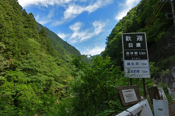 blog_pic136619.jpg
