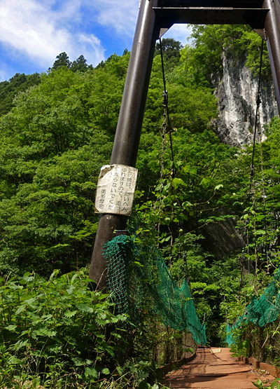blog_pic136620.jpg
