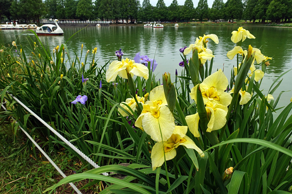 blog_pic136633.jpg