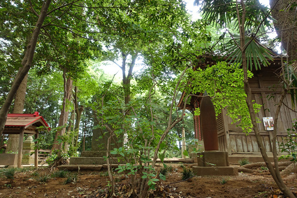 blog_pic136637.jpg