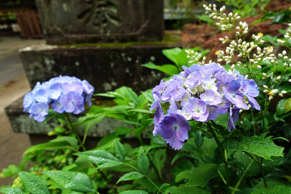 blog_pic136640.jpg