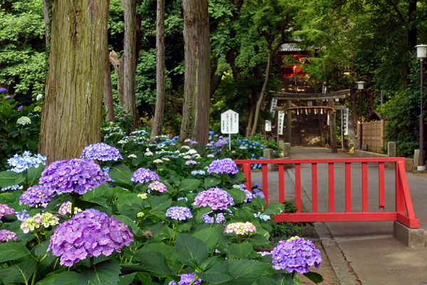 blog_pic136648.jpg