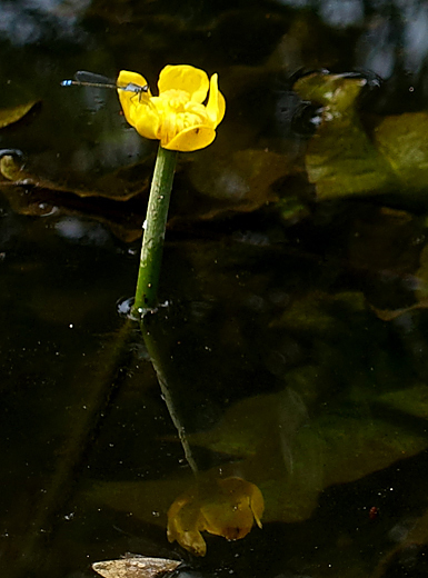 blog_pic136674.jpg