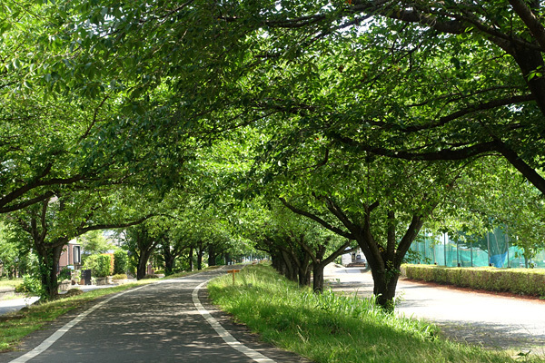 blog_pic136676.jpg