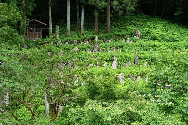 blog_pic136695.jpg