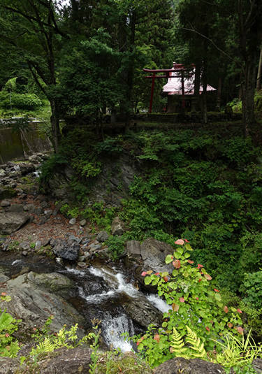 blog_pic136697.jpg