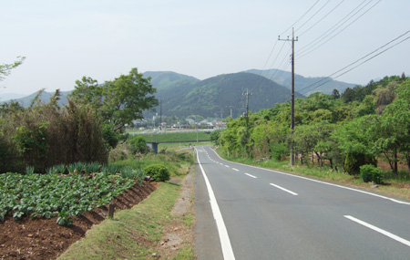 blog_pic1367.jpg