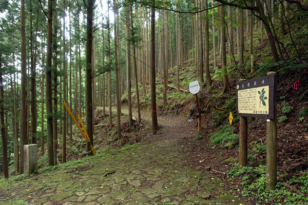 blog_pic136705.jpg