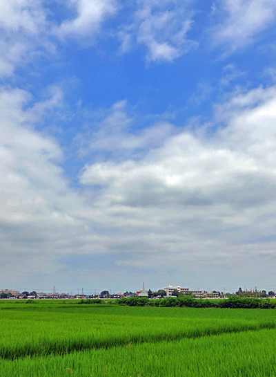 blog_pic1367474.jpg