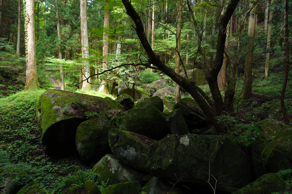 blog_pic1367510.jpg