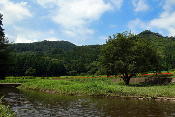blog_pic1367512.jpg