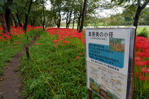 blog_pic13675809.jpg