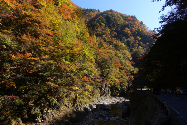 blog_pic13675881.jpg