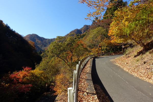 blog_pic13675884.jpg