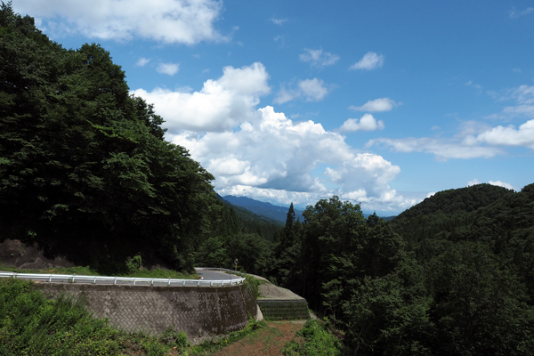 blog_pic136762047.jpg