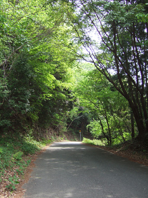 blog_pic1370.jpg
