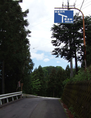 blog_pic1381.jpg