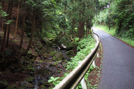 blog_pic1383.jpg