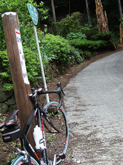 blog_pic1384.jpg
